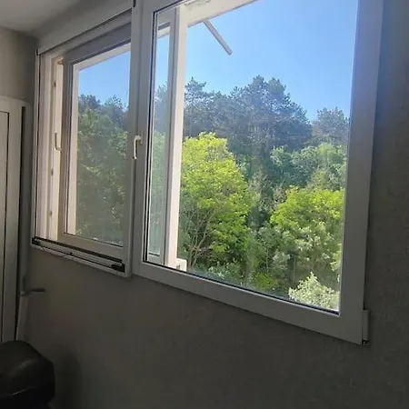 Red - In - And Forest Apartment *